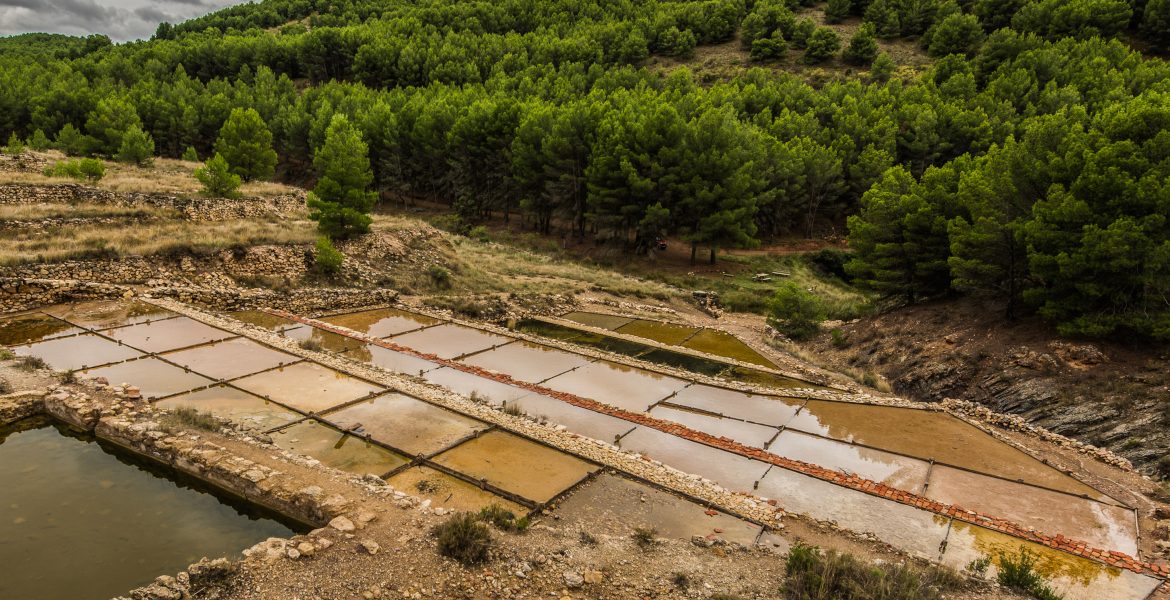 Salinas de Nuévalos